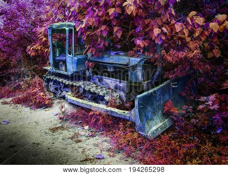 Old fashion antique worn rusted construction full track crawler blue tractor among green trees. Hue color agricultural industry machine crawler tractor blade vehicle. Abstract tractor background