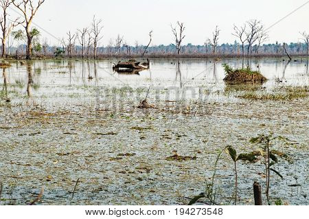 Beautiful artificial lake with with trees and other vegetation around the Neak Pean Temple in Angkor Complex, Siem Reap, Cambodia.