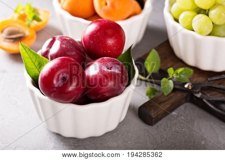 Various fresh tasty fruits in white bowls with plums, apricots and grapes