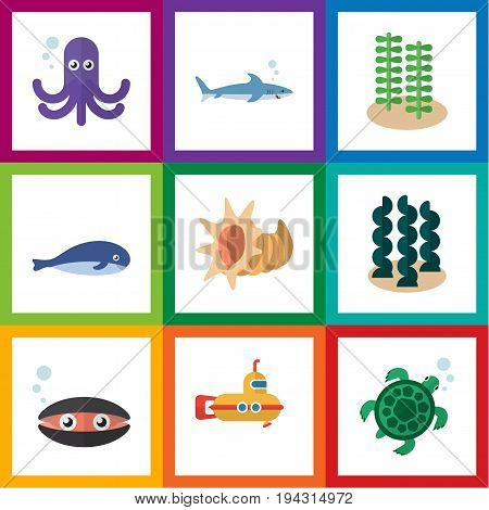 Flat Icon Nature Set Of Cachalot, Seaweed, Periscope And Other Vector Objects. Also Includes Alga, Turtle, Tortoise Elements.