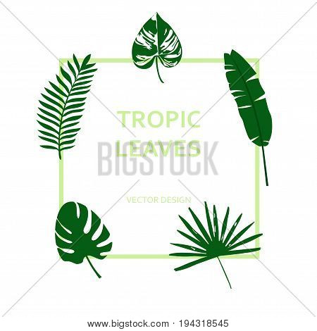 Set Of Tropical Green Leaves On White Background, Frame With Inscription Of Tropical Leaves, Beautif