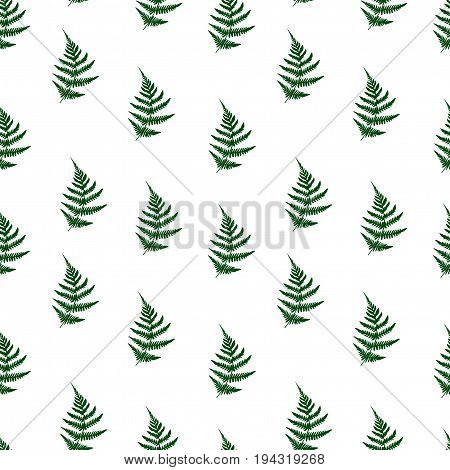 Fern Leaves Seamless Pattern Background. Vector Illustration Seamless Floral Pattern. Nature Organic