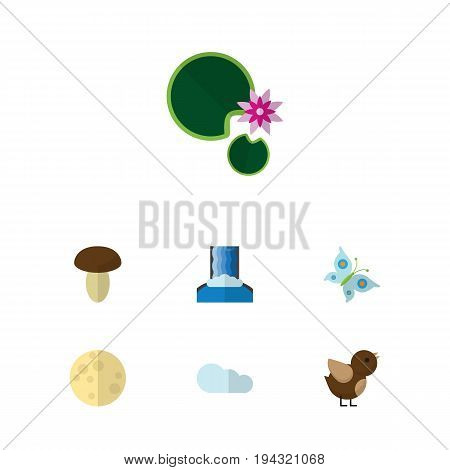 Flat Icon Nature Set Of Bird, Champignon, Monarch And Other Vector Objects. Also Includes Sky, Bird, Moth Elements.