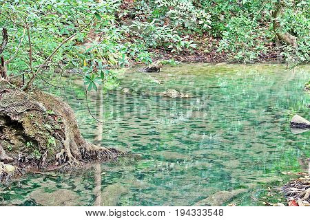 Clean And Clear Natural Water