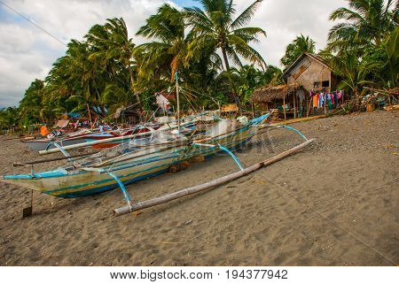 Palm Trees And Local Boats On The Volcanic Beach. Pandan, Panay Island, Philippines.