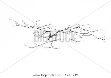 Smalltree
