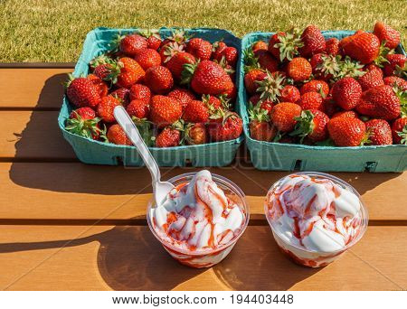 strawberries and vanilla ice frozen joghurt cream refreshing cold summer dessert in a takeaway tub on a wooden table