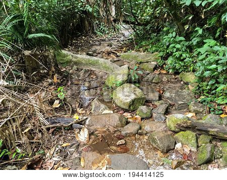 nature walkway in Khao Chamao , Rayong , Thailand