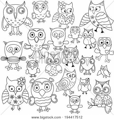 Set Of Amusing Owl Outlines