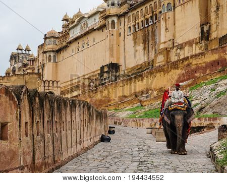 People With Elephants At Amber Fort In Jaipur, India