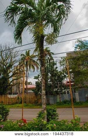Catholic Cathedral On The Background Of Palm Trees In The Philippines. Pandan, Panay