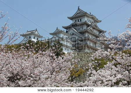 日本の城花見を