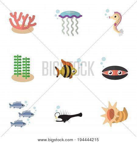 Flat Icon Marine Set Of Tuna, Algae, Fish And Other Vector Objects. Also Includes Cockleshell, Hippocampus, Algae Elements.