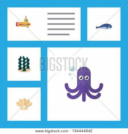 Flat Icon Marine Set Of Tentacle, Conch, Cachalot And Other Vector Objects. Also Includes Underwater, Seashell, Tentacle Elements.