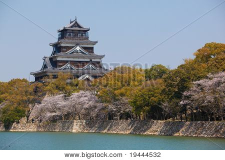 日本の城花見を