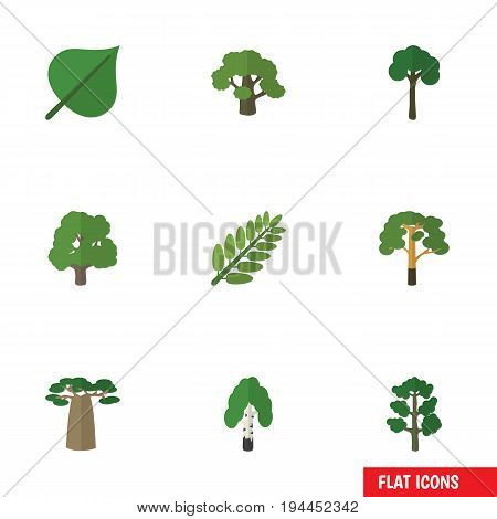 Flat Icon Ecology Set Of Hickory, Wood, Leaves And Other Vector Objects. Also Includes Baobab, Wood, Foliage Elements.