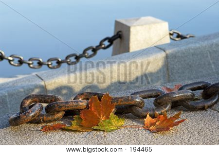 Bellezza di sbiadisc autunno
