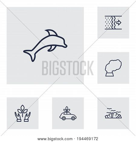 Set Of 6 Atmosphere Outline Icons Set.Collection Of Air, Dolphin, Ecol And Other Elements.