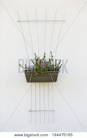 Flowers in pot hanging on wall with decor