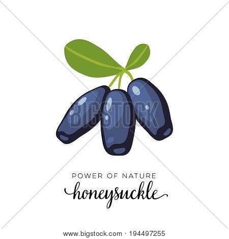 Blue honeysuckle berry flat icon with inscription colorful vector illustration of eco food isolated on white.