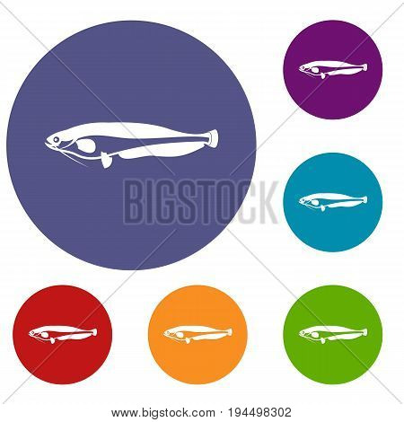 Atlantic mackerel, Scomber scombrus icons set in flat circle reb, blue and green color for web