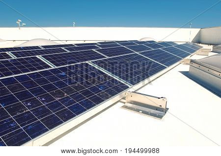 Solar Panels at Solar Power Plant
