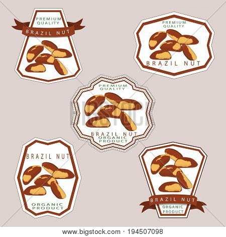 Abstract vector illustration logo whole ripe brown brazil nut, sliced shell, product  background.