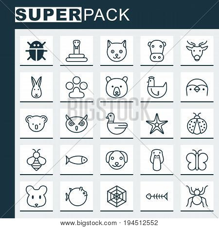 Zoology Icons Set. Collection Of Seafood Skeleton, Kitten, Hen And Other Elements. Also Includes Symbols Such As Panda, Owl, Goose.