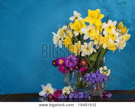 ช่อดอกไม้ในนาร์ซีซัส primroses สปริง