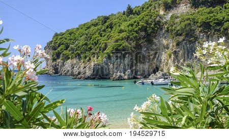 View on the bay and beach Paleokastritsa with flowers and blue sea water on the Island Corfu Greece.
