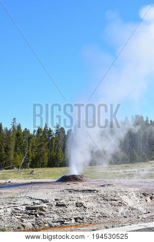 Pink Cone Geyser is a cone-type geyser in the Lower Geyser Basin of Yellowstone National Park. The geyser's sinter cone is a shell-pink caused by the presence of manganese and iron oxides.