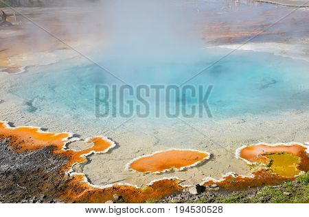 Silex Spring in the Lower Geyser Basin in Yellowstone National Park. The spring boils occasionally and, periodically large bubbles of gas rise to the surface.