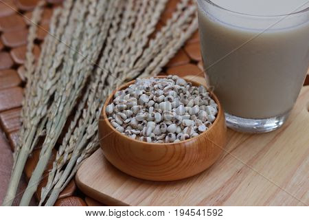 Coix lacryma-jobi, boiled in a glass on a brown background