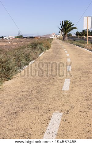 Dirt road. Off road, spring dry grass. Desert, palm ground stone way