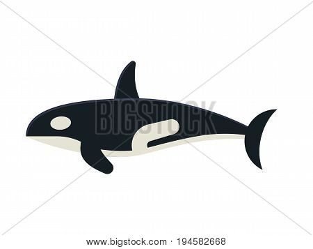 Cartoon killer whale isolated on white background. Orca vector illustration in flat design.