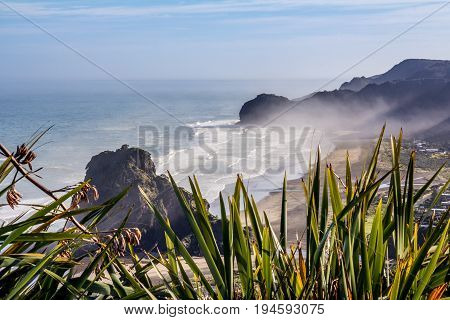 Lookout over Piha on a Foggy Morning with Flax in the Foreground