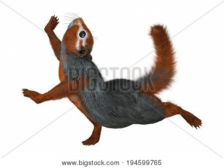 3D Rendering Red Bush Squirrel On White