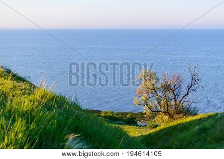 Beautiful Landscape View With A Coast And A Sea Background,