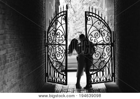 Young, Beautiful Bride And Groom Walking Along The Street In The City