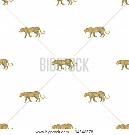 Leopard.African safari single icon in cartoon style vector symbol stock illustration .
