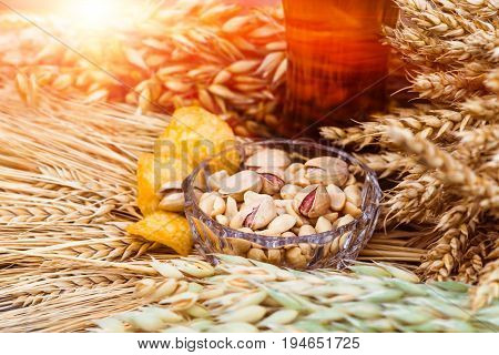 Pistachio nuts peanuts and potato chips a snack for beer lying in a glass dish surrounded by ingredients for making malt for beer bread. Spikes of wheat barley oats rye.
