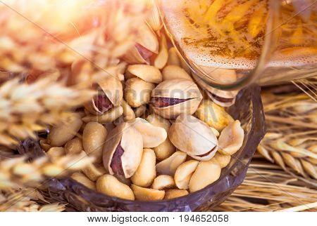 Pistachio nuts peanuts and potato chips a snack for beer lying in a glass dish surrounded by ingredients for making malt for beer bread. Spikes of wheat barley oats rye.