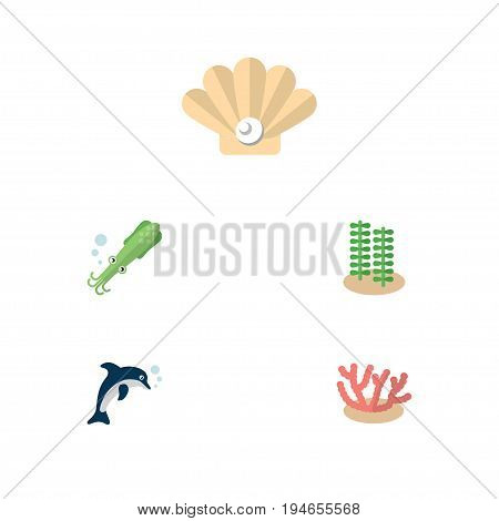Flat Icon Marine Set Of Seaweed, Algae, Conch And Other Vector Objects. Also Includes Playful, Tentacle, Alga Elements.