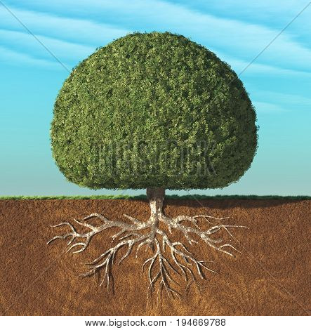 A perfect tree with green leaves in the shape of sphere with roots underground. This is a 3d render illustration