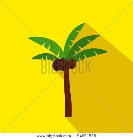 Palm cartoon flat icon. Brazil. Summer.Vector illustrationdesign element
