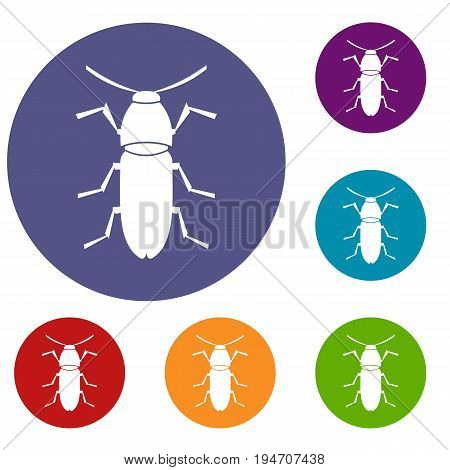 Cereal leaf beetle icons set in flat circle reb, blue and green color for web