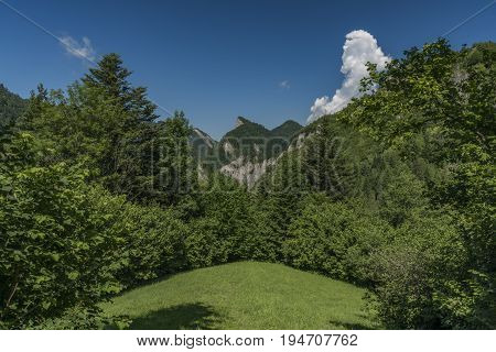 Pieniny national park in Slovakia and Poland in summer sunny day