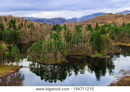 Lake District Cumbria Tarn Hows  with reflection on water