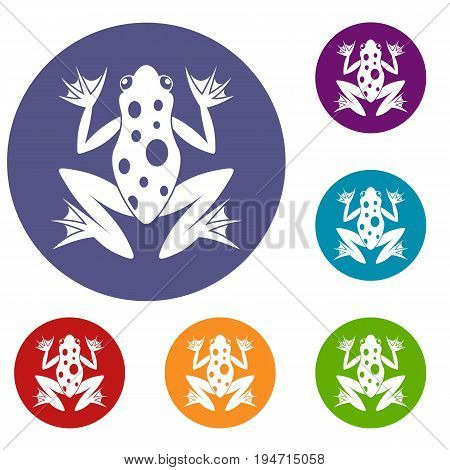 Frog icons set in flat circle reb, blue and green color for web