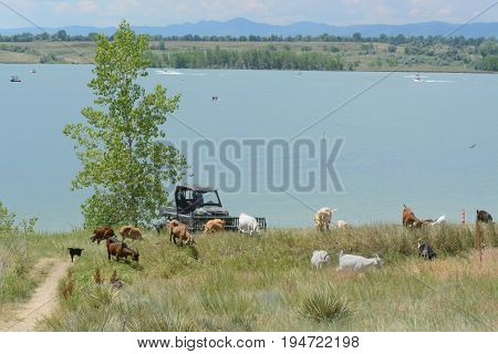 View of from Standley Lake Regional Park in Westminster Colorado and Rocky Mountain foothills and Front Range prairie